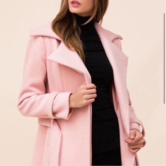 Yumi Kim Coat in Blush - Picture 6 of 14